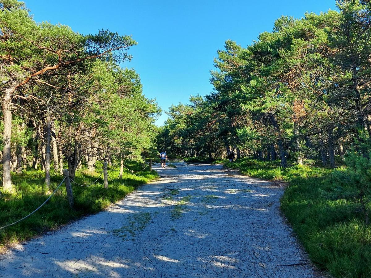 CzystaGreyowka Dom Kryty Strzecha W Gardna Park别墅 外观 照片