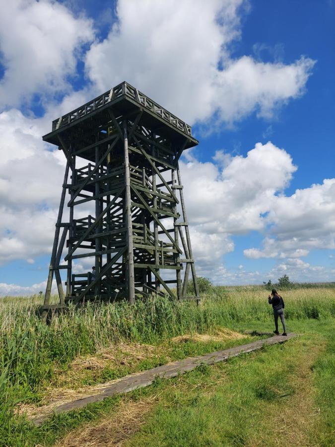 CzystaGreyowka Dom Kryty Strzecha W Gardna Park别墅 外观 照片