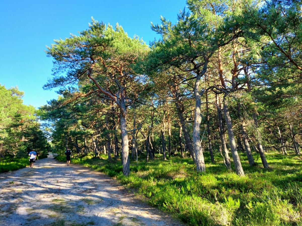 CzystaGreyowka Dom Kryty Strzecha W Gardna Park别墅 外观 照片